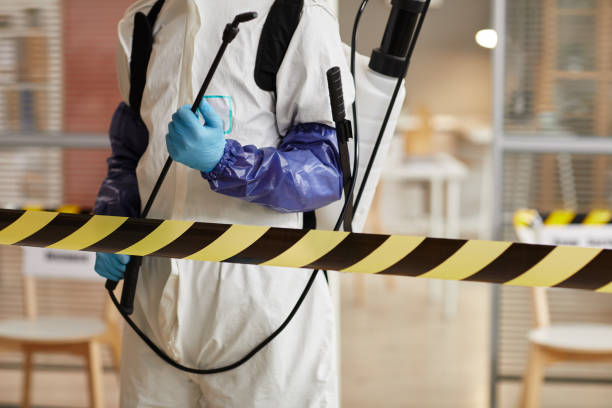 Professional Sewage Cleanup technician working in Superior, WI